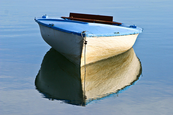 d3 135